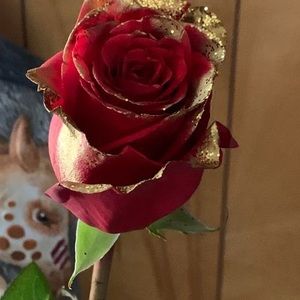 Meet your Posher, Lynne